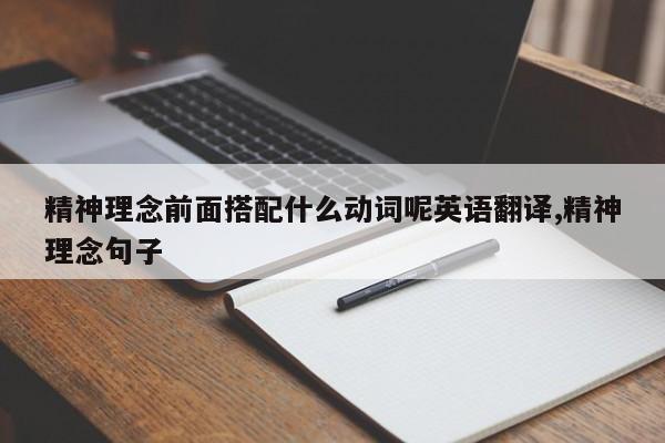 精神理念前面搭配什么动词呢英语翻译,精神理念句子